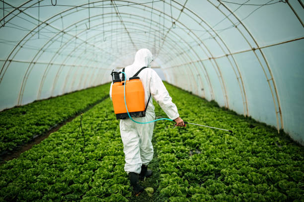 Best Residential Pest Control  in Bartlett, TX