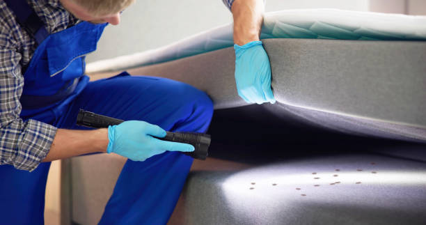 Best Ant Control Services  in Bartlett, TX