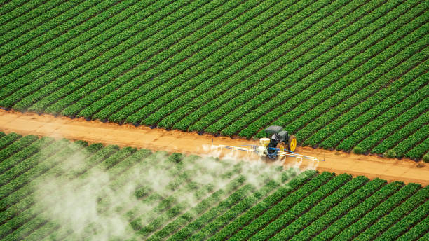 Best Pest Inspection Near Me  in Bartlett, TX