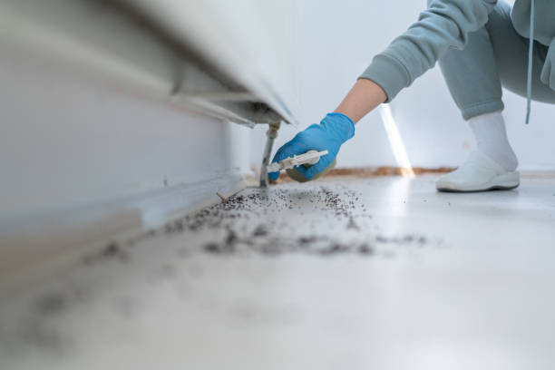 Best Local Pest Control Services  in Bartlett, TX